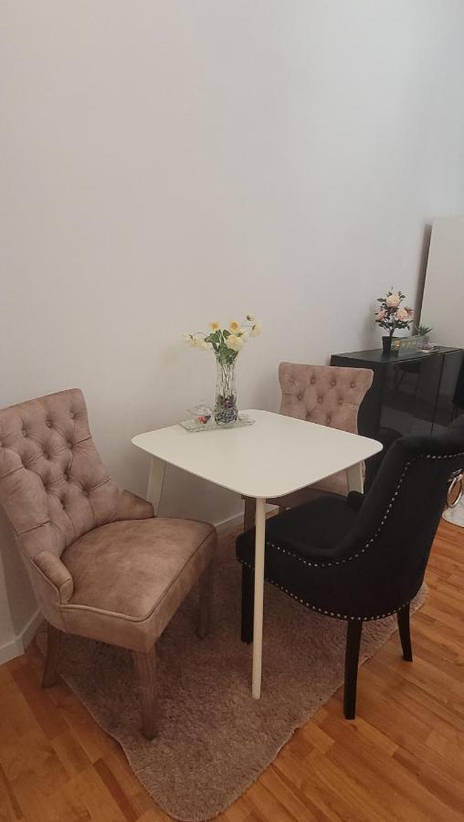 Opera Victoriei Residence - Ultracentral Cozy Accommodation 티미쇼아라 외부 사진