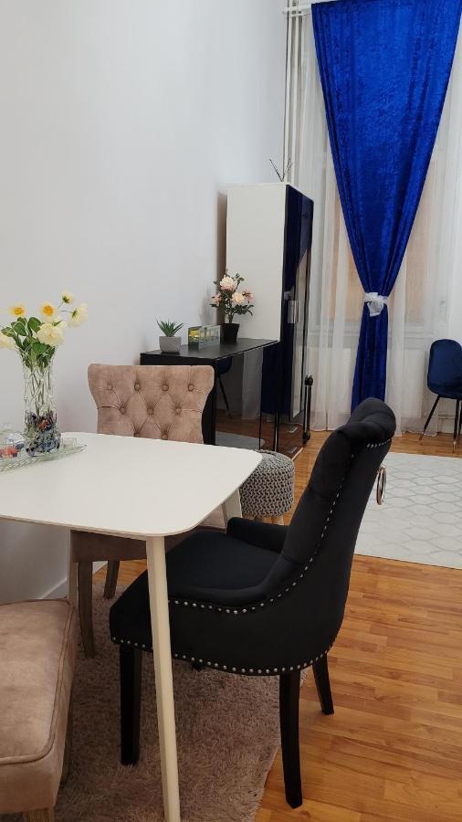 Opera Victoriei Residence - Ultracentral Cozy Accommodation 티미쇼아라 외부 사진