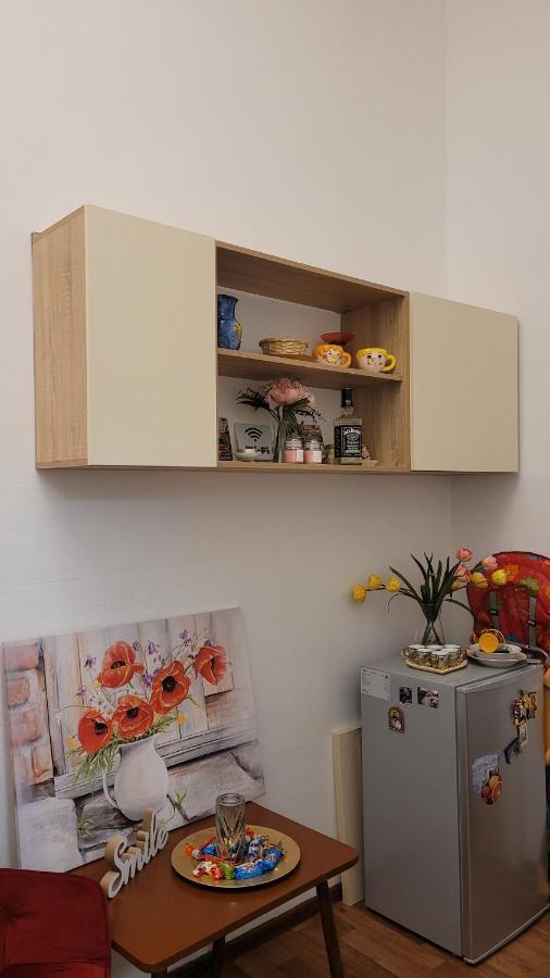 Opera Victoriei Residence - Ultracentral Cozy Accommodation 티미쇼아라 외부 사진