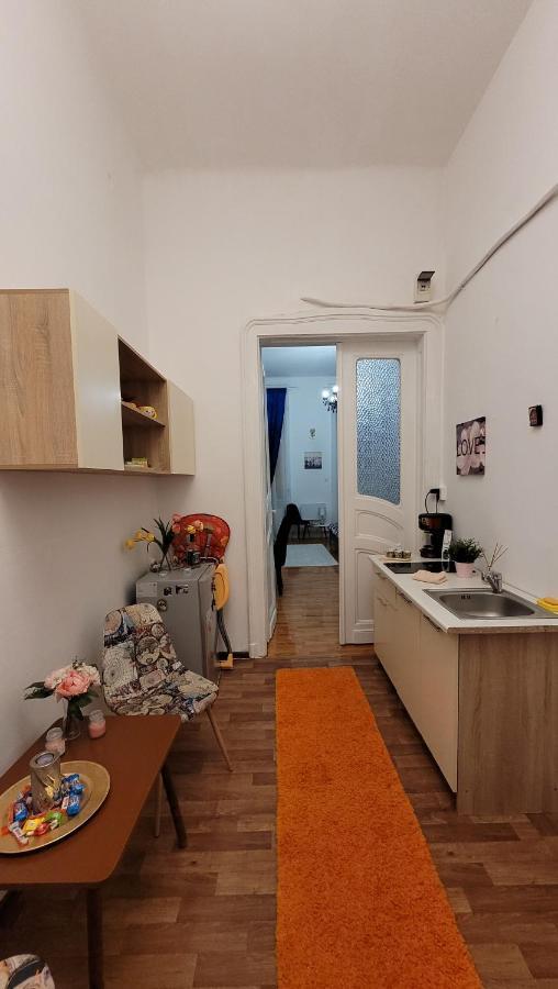 Opera Victoriei Residence - Ultracentral Cozy Accommodation 티미쇼아라 외부 사진