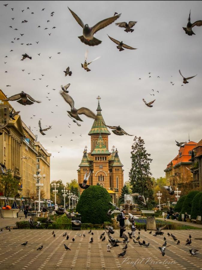 Opera Victoriei Residence - Ultracentral Cozy Accommodation 티미쇼아라 외부 사진