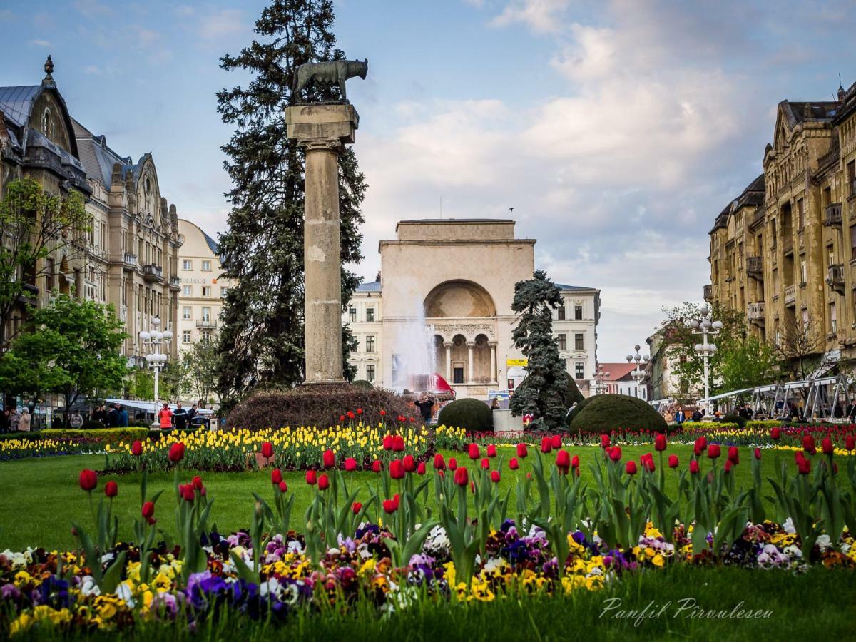 Opera Victoriei Residence - Ultracentral Cozy Accommodation 티미쇼아라 외부 사진